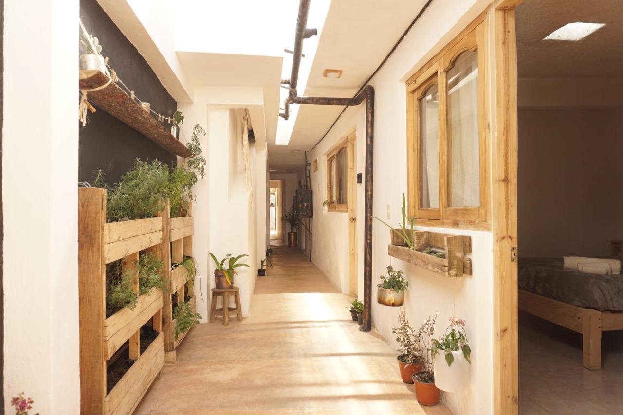 Hostel Boutique 55 San Cristóbal de Las Casas المظهر الخارجي الصورة