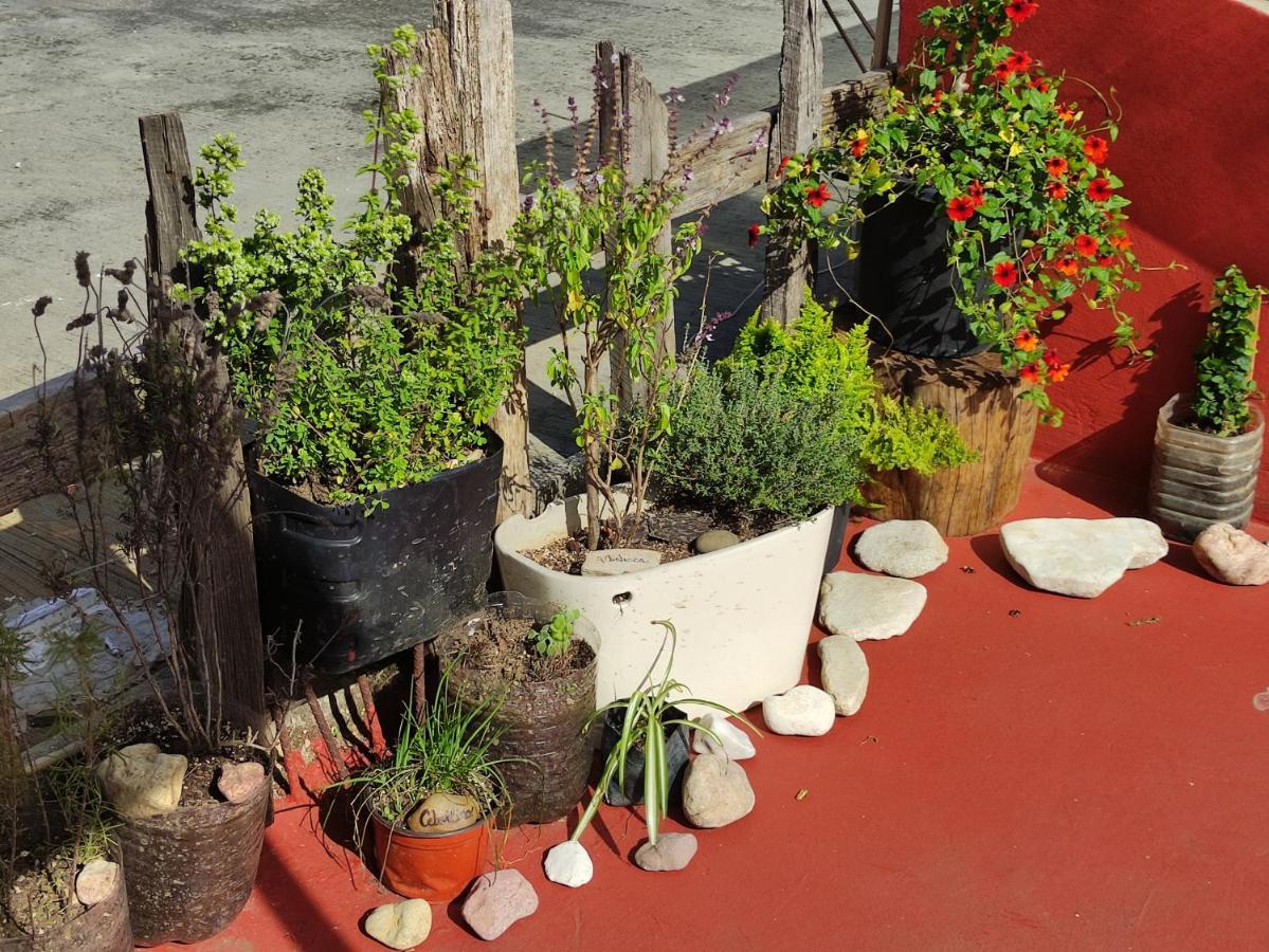 Hostel Boutique 55 San Cristóbal de Las Casas المظهر الخارجي الصورة